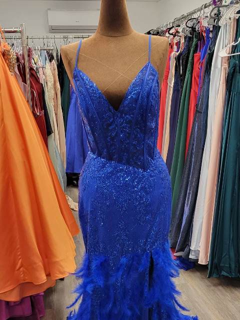 Robe de bal bleu roi à plumes, dentelle et plumes